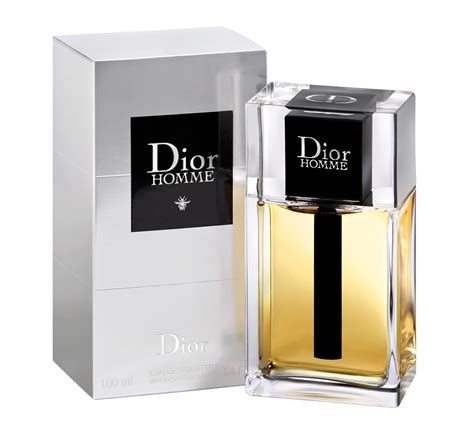 dior homme parfum christian dior for men|dior homme 100 ml.